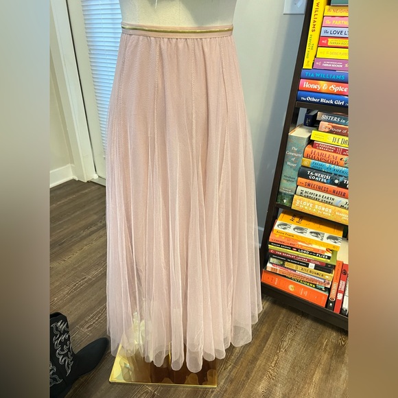 Chicwish Soft Pink A-Line Tulle Maxi Skirt - Picture 2 of 8
